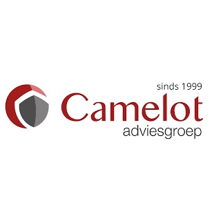 Camelot Adviesgroep